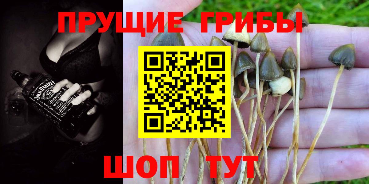Псилоцибиновые грибы мухоморы  Вход с VPN  Галлюциногенные грибы GOLDEN TEACHER  Красноярск 