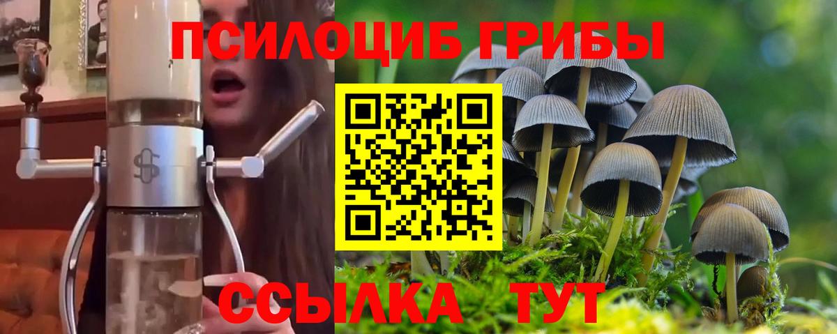 Псилоцибиновые грибы прущие грибы Красноярск